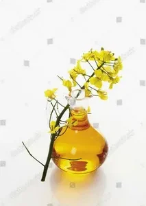 Canola Oil